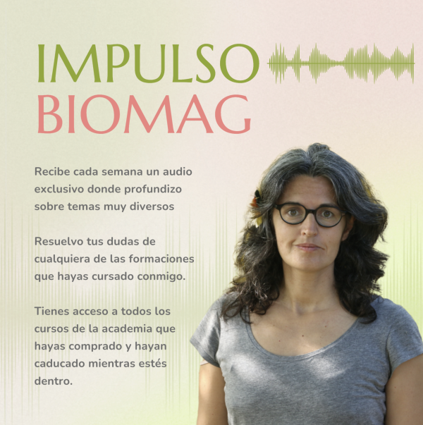 Impulso 33
