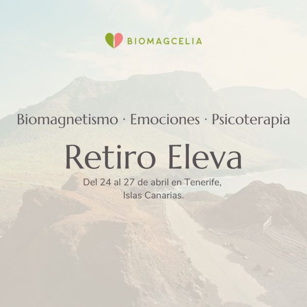 Retiro Eleva