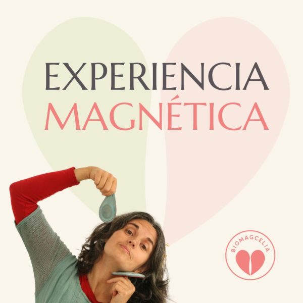 Experiencia magnética on line